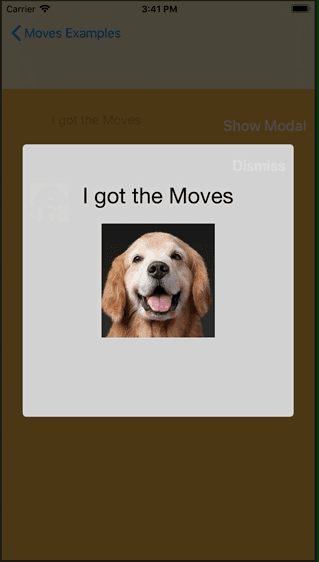 Breaking down Custom View Controller Animations with 'Moves'
